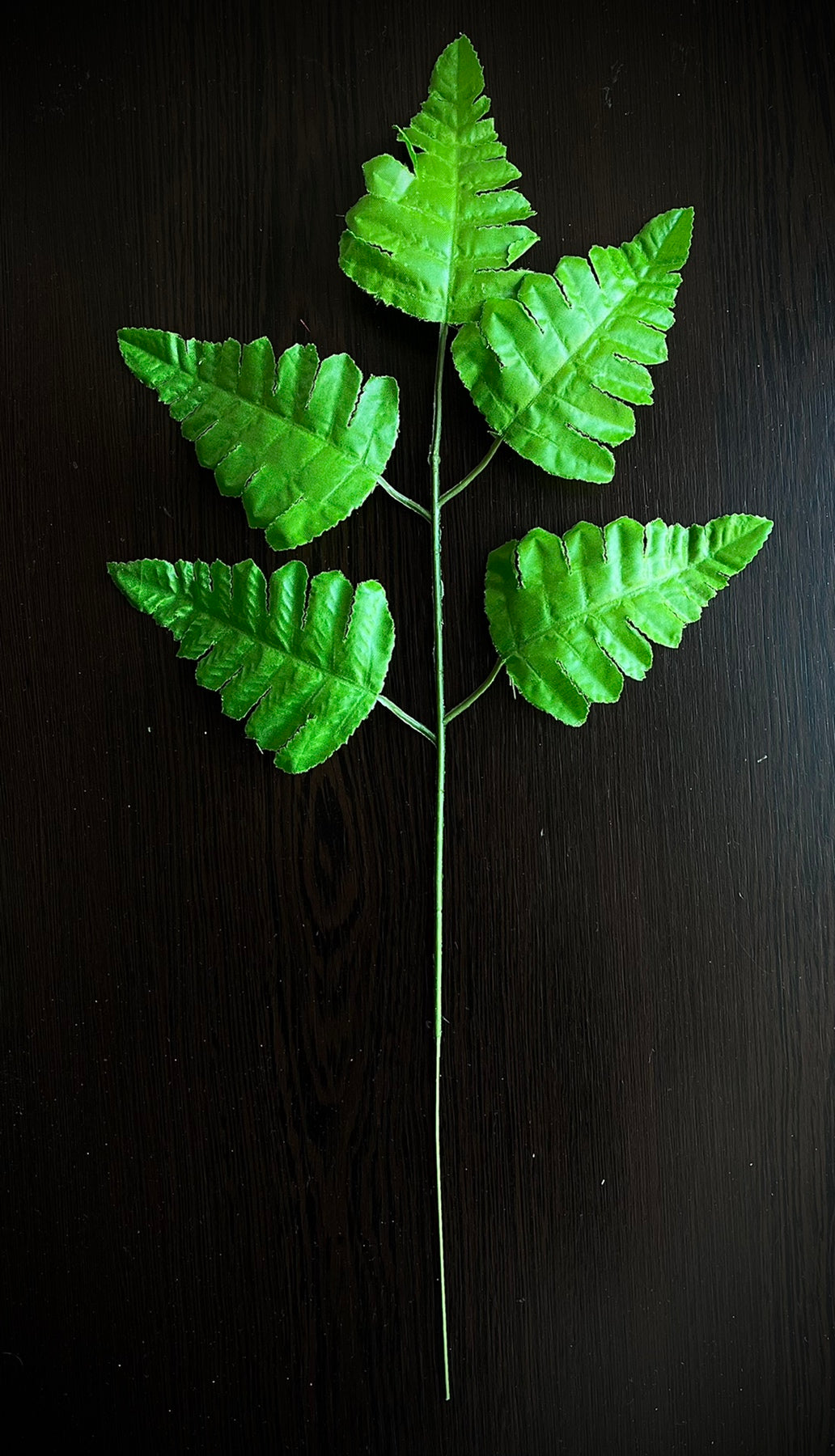 5 V01 (7) Fern leaf with 7 leaves