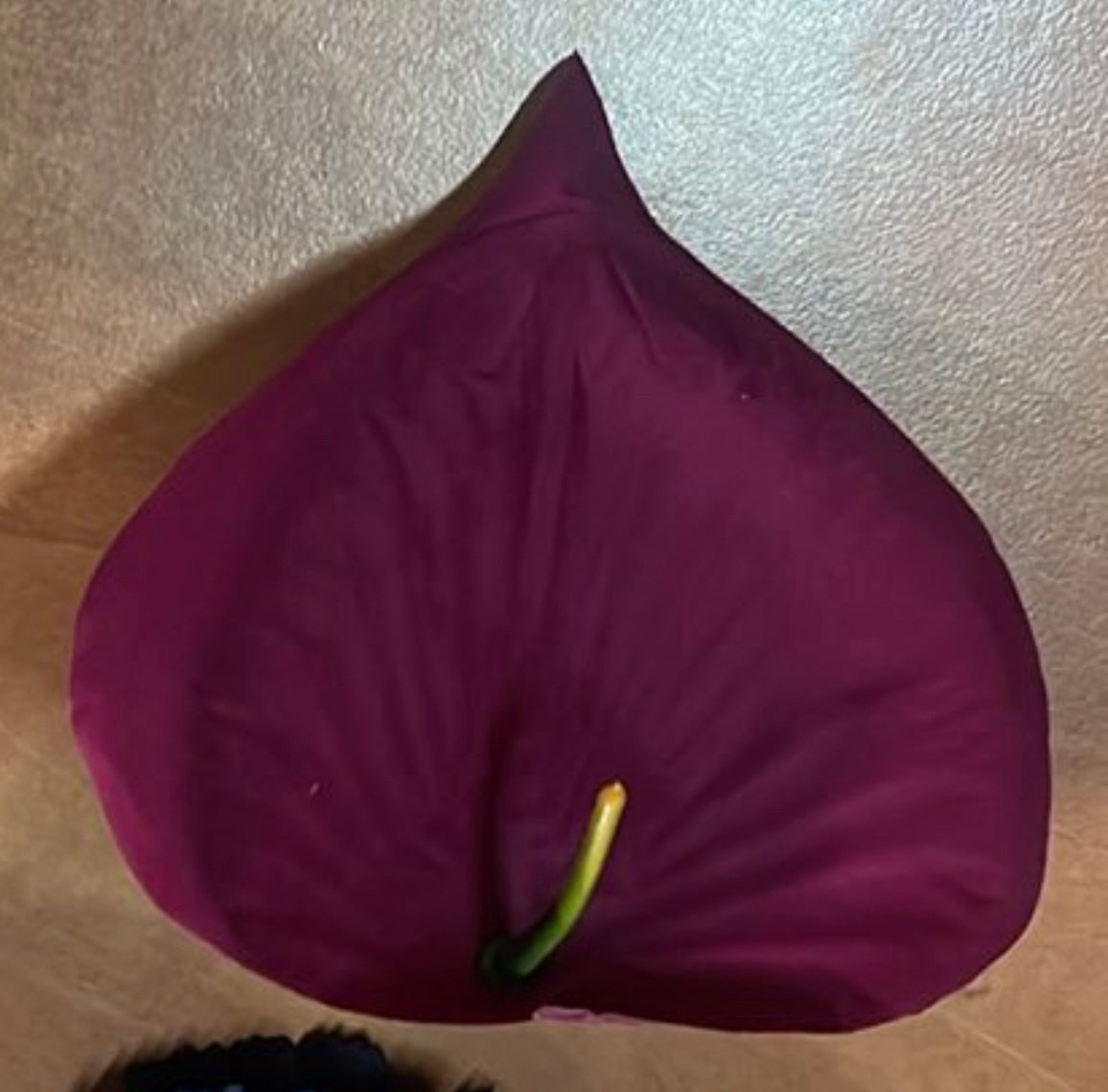 Т-148 Кадифена глава на кала