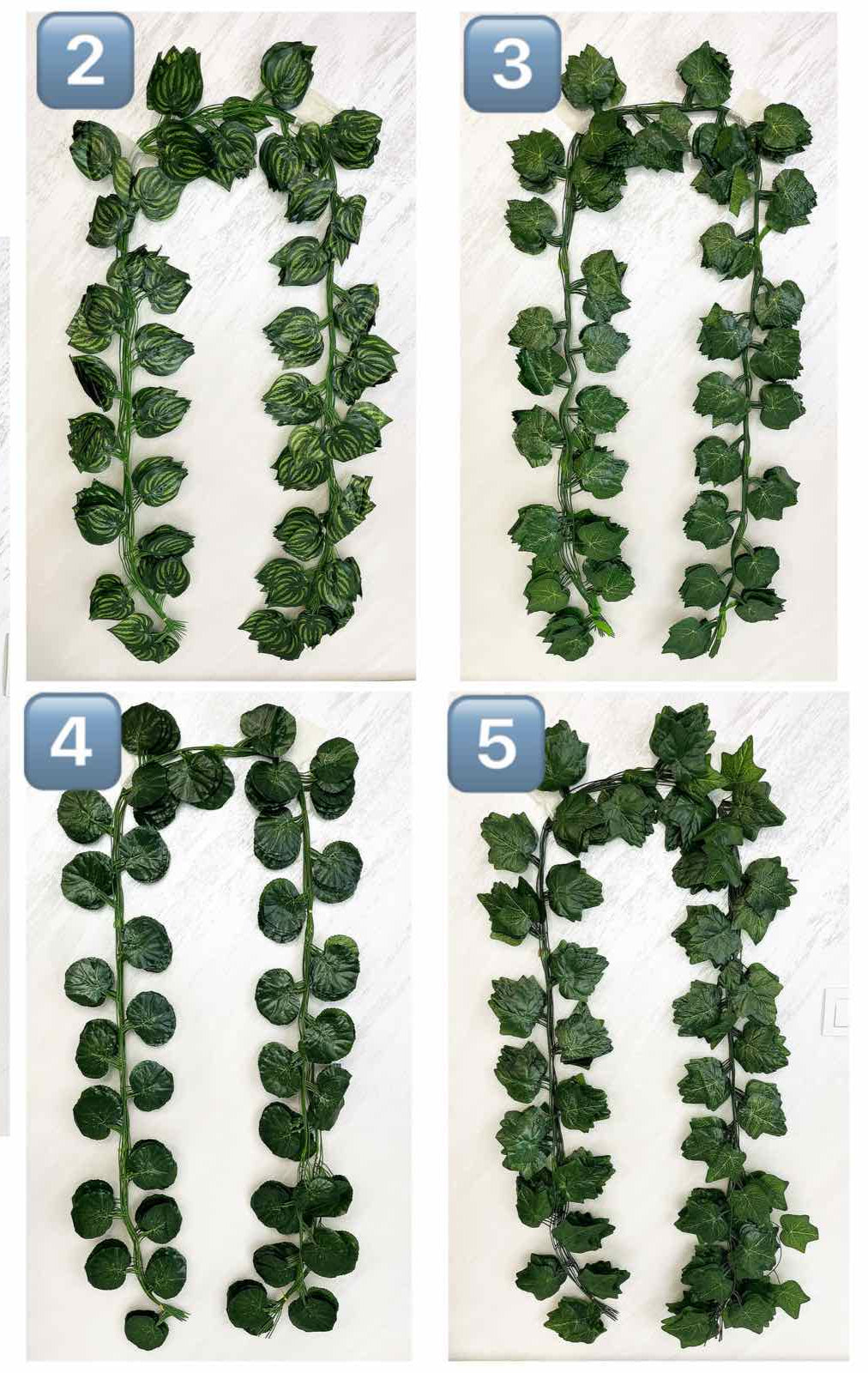 203-1 Лиани с листа