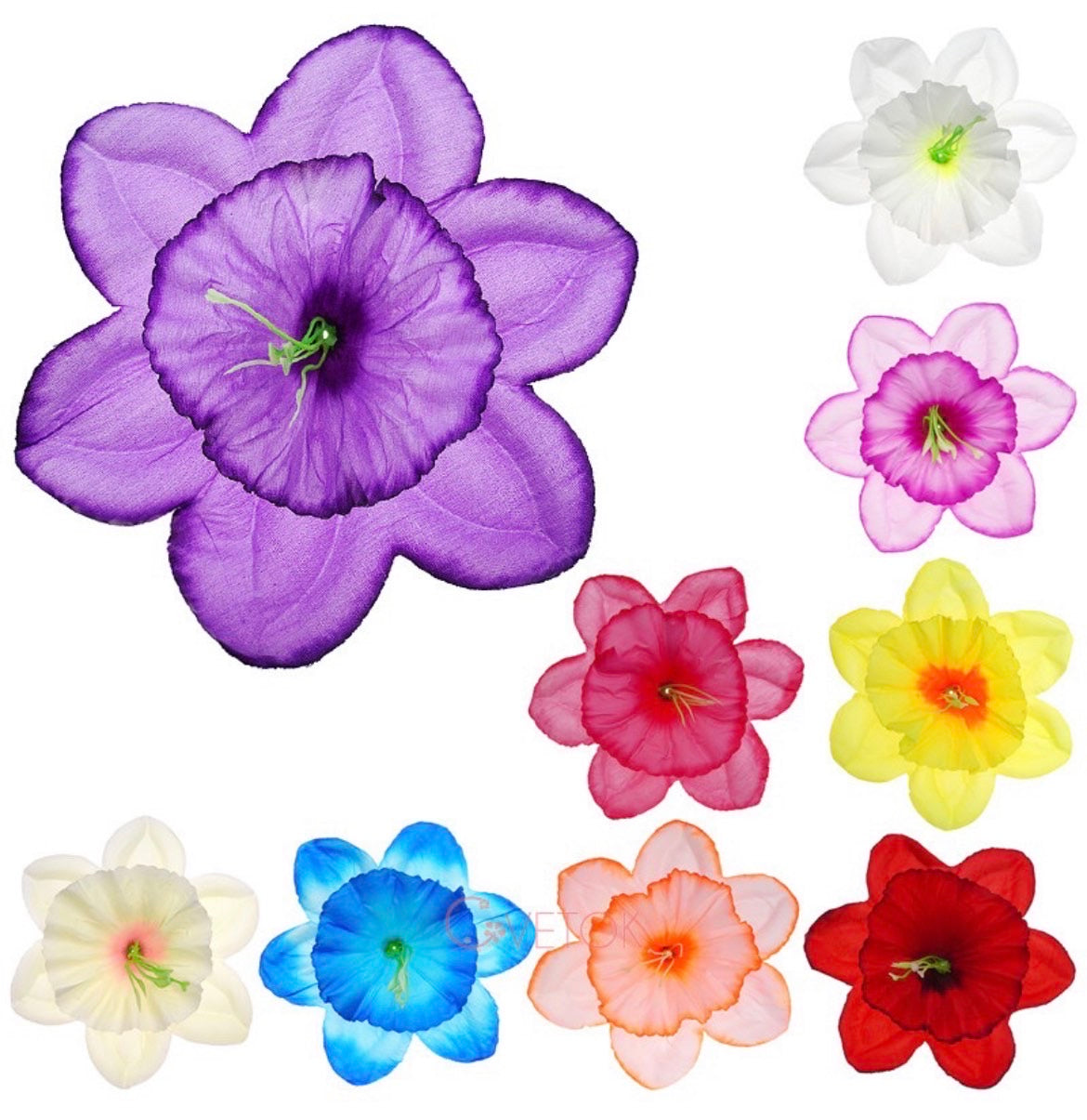 Т-359 Коприрена голяма главичка на нарцис