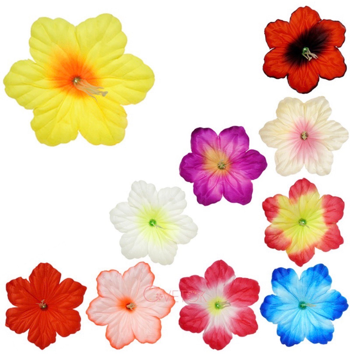 Р-335 Главичка на клематис