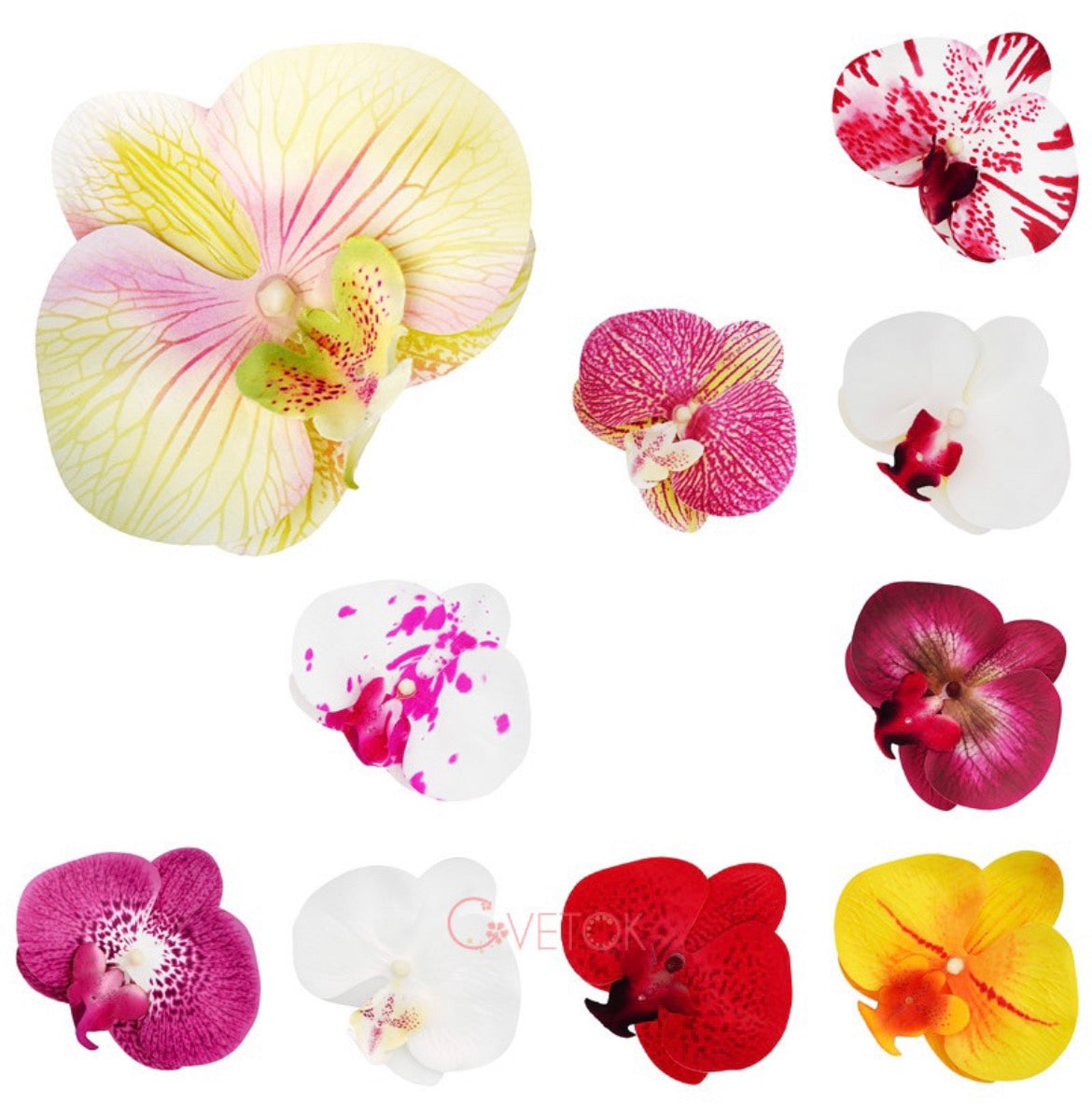 Е-4К Латексна главичка на орхидея