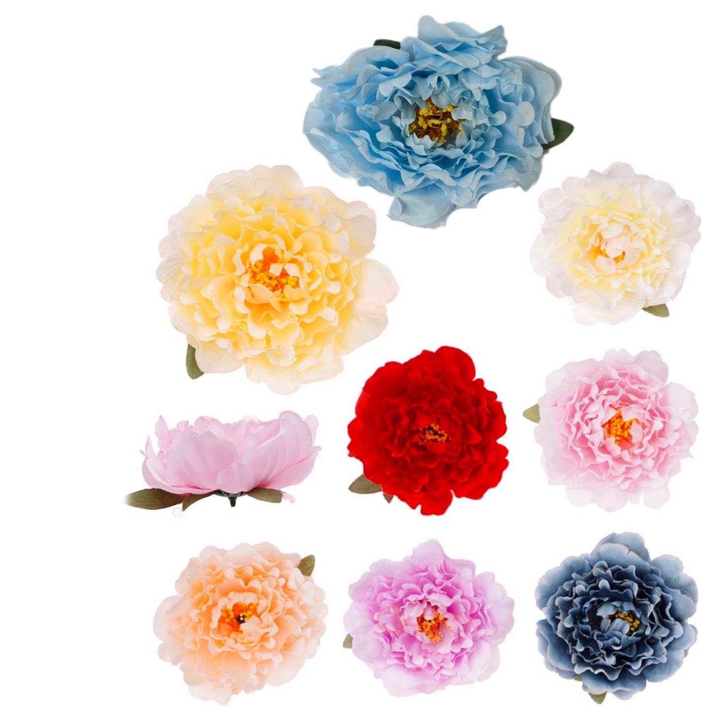 T-303 Peony flower