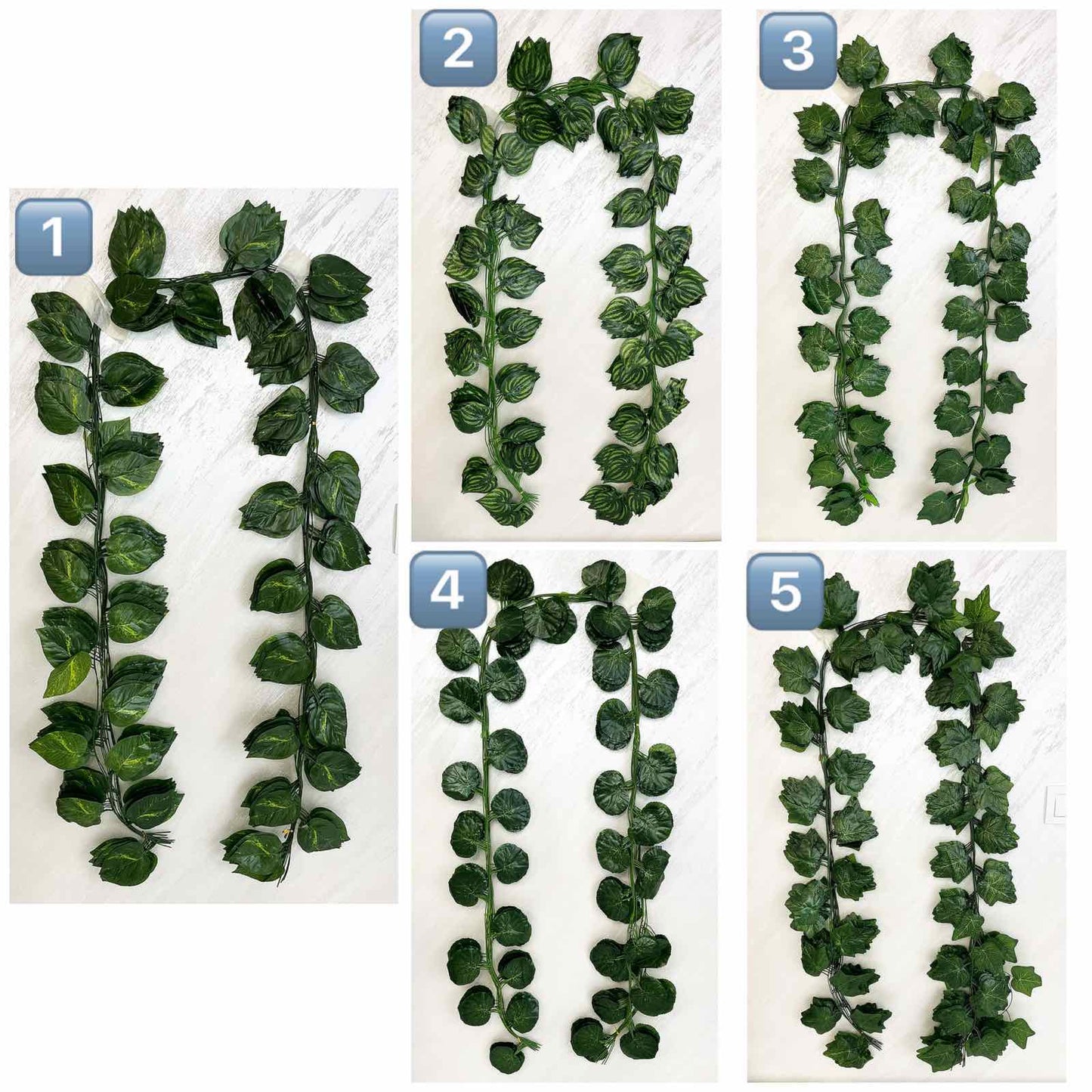 203-1 Лиани с листа