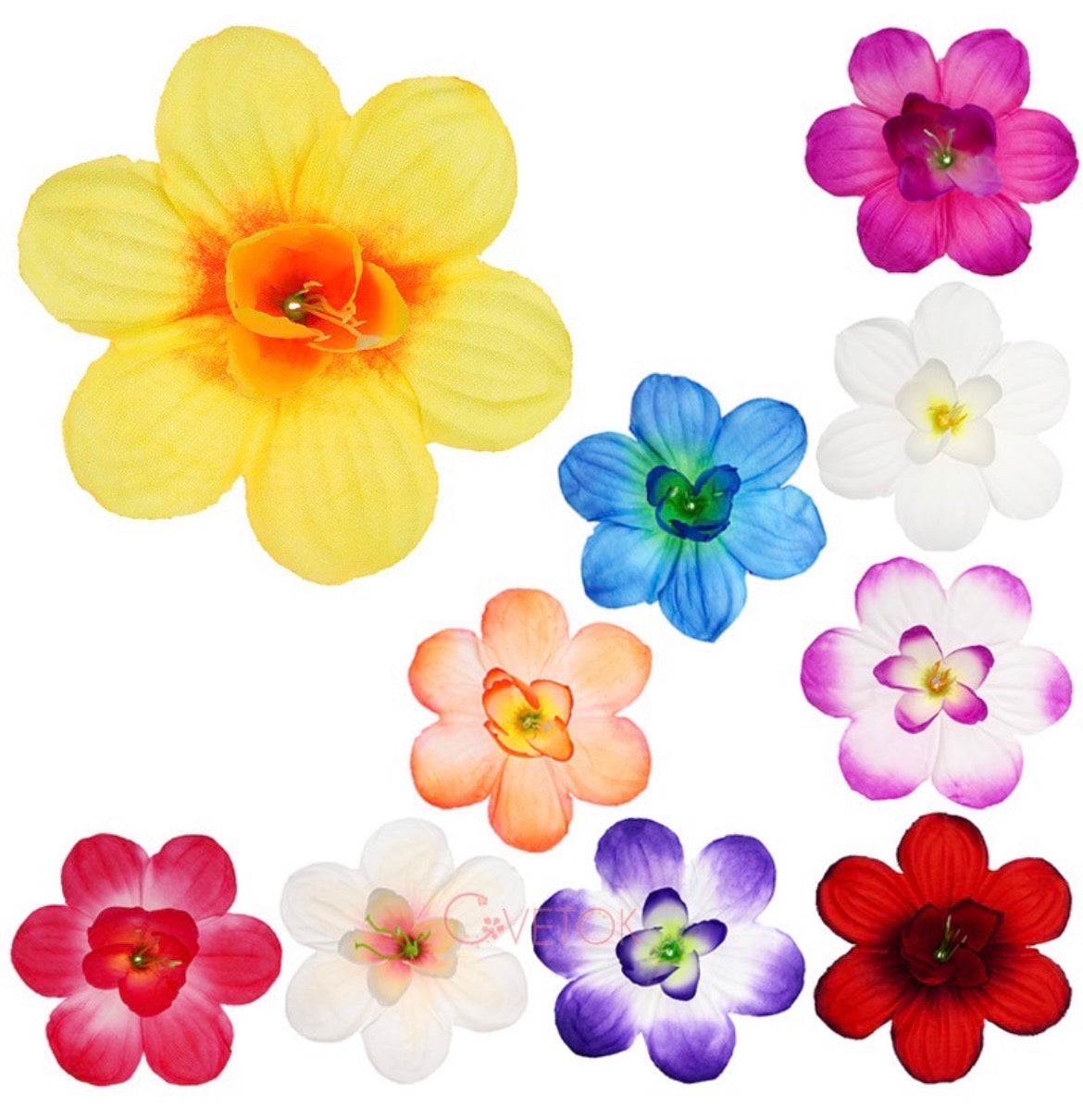 К-36А Главичка на нарцис