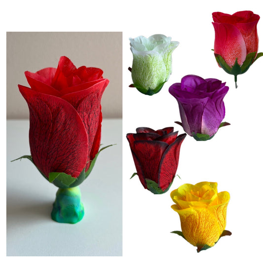 B-9 Rosebud large
